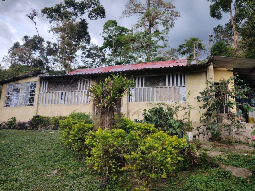 Viotá, Cundinamarca, Colombia 3